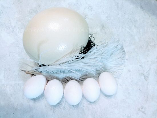 как сварить страусиное яйцо всмятку
