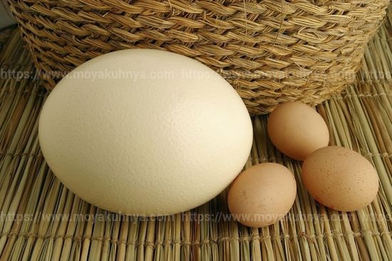 сколько минут надо варить страусиное яйцо всмятку